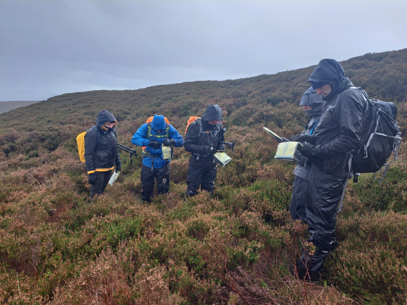 Group of hikers in raincoats checking maps on a rainy hillside.
