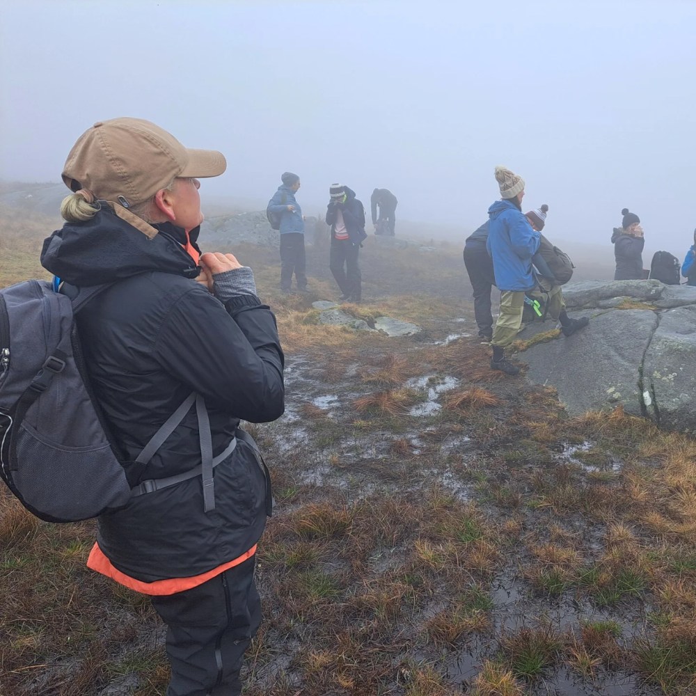 People hiking in foggy weather on a grassy, rocky terrain.