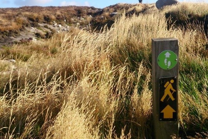 a sign on the side of a tall grass field