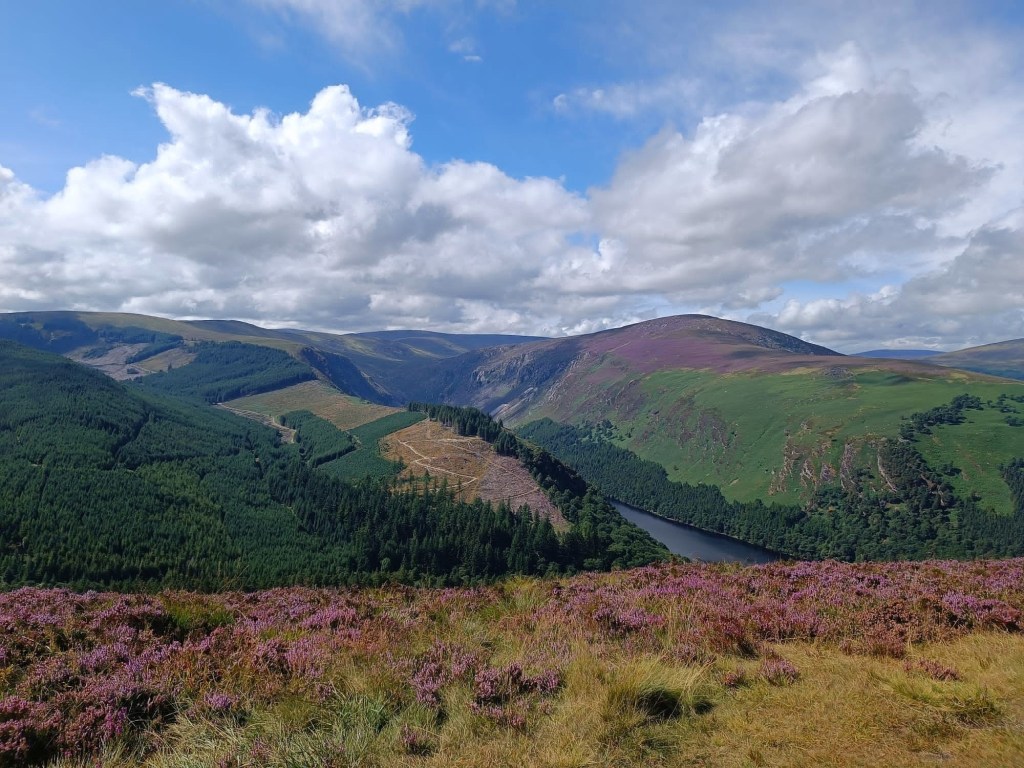 Spinc and Derrybawn guided hike